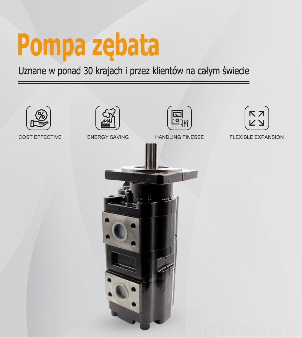 JHP2080-2080 80 cm³/obrót Pompa hydrauliczna zębata