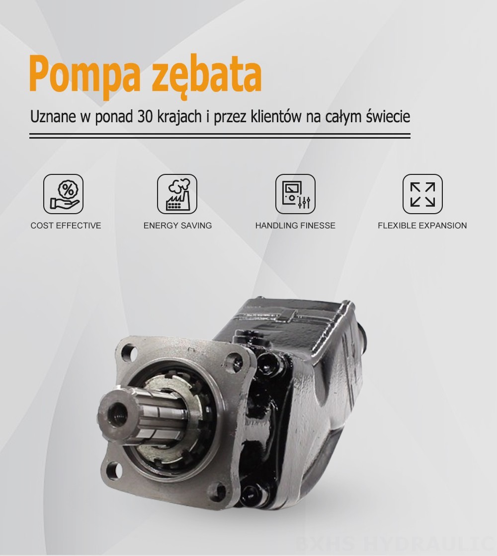 LB-80 80 cm³/obrót Pompa hydrauliczna tłokowa