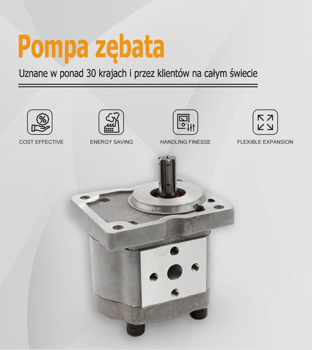 NSH-10 10 cm³/obrót Pompa hydrauliczna zębata