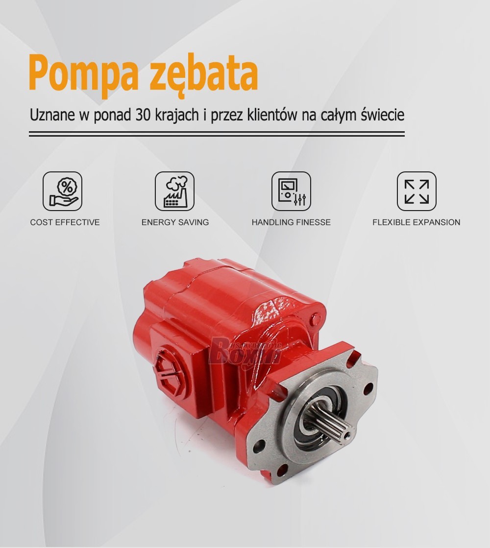 Custom OEM/ODM Service for P51A646TEYR25-25-H 104.5 cc/rev Hydraulic Gear Pump with Private Labeling