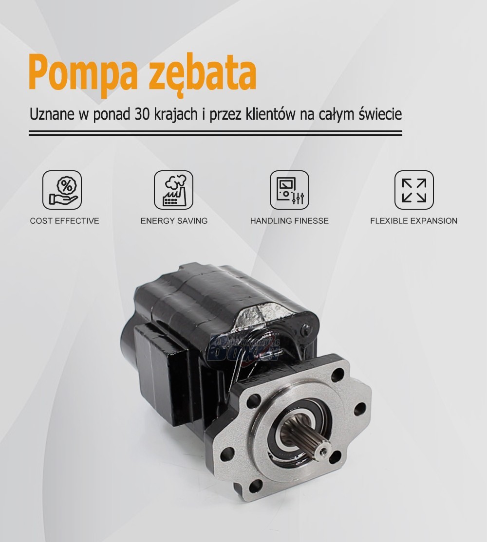 P51A646TEYR25-25 Hydraulic Pump Direct from Large Scale Factory