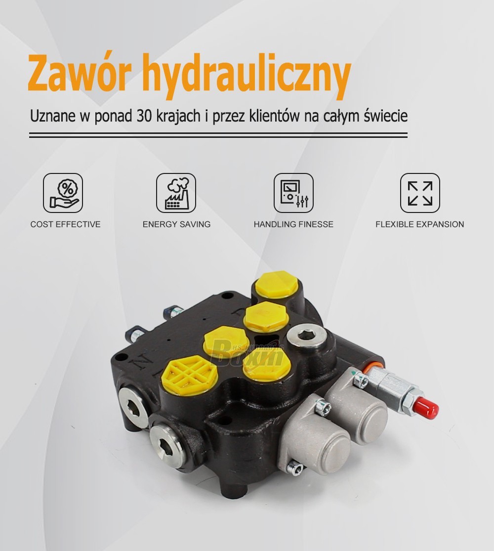 Direct Factory Wholesale P80A-G-BT-OT 2 Spool Control Valve