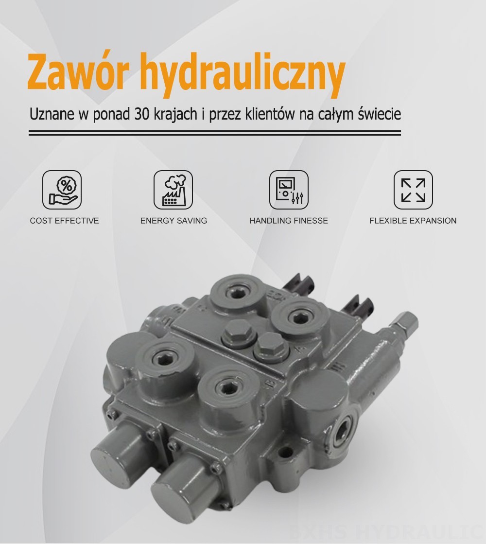 RD5200-H Ręczna 2 Szpule Zawór sterujący hydrauliczny
