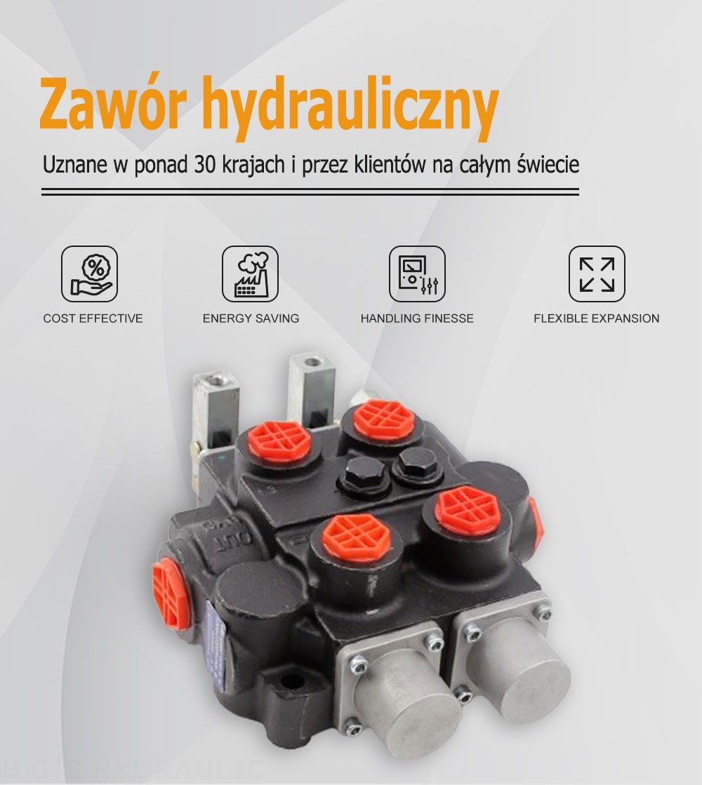 RD5200 Ręczna 2 Szpule Zawór sterujący hydrauliczny