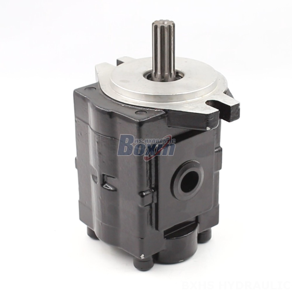 Private Label & OEM Manufacturing: 20 cc/rev Hydraulic Gear Pumps for Your Brand main image