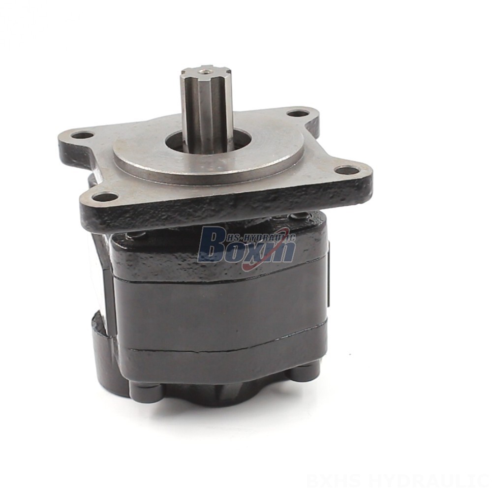 20 cc/rev Hydraulic Gear Pump: OEM & ODM Services Available cover photo