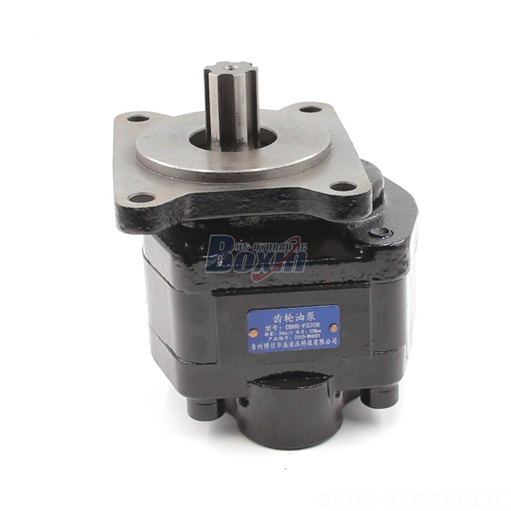 20 cc/rev Hydraulic Gear Pump: OEM & ODM Services Available main image