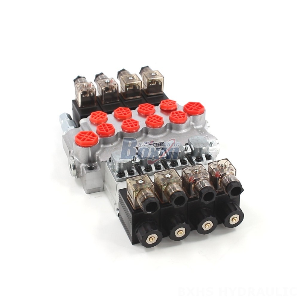 P40-DS Hydraulic Valve: Seeking Distributors & Wholesale Partners Worldwide main image