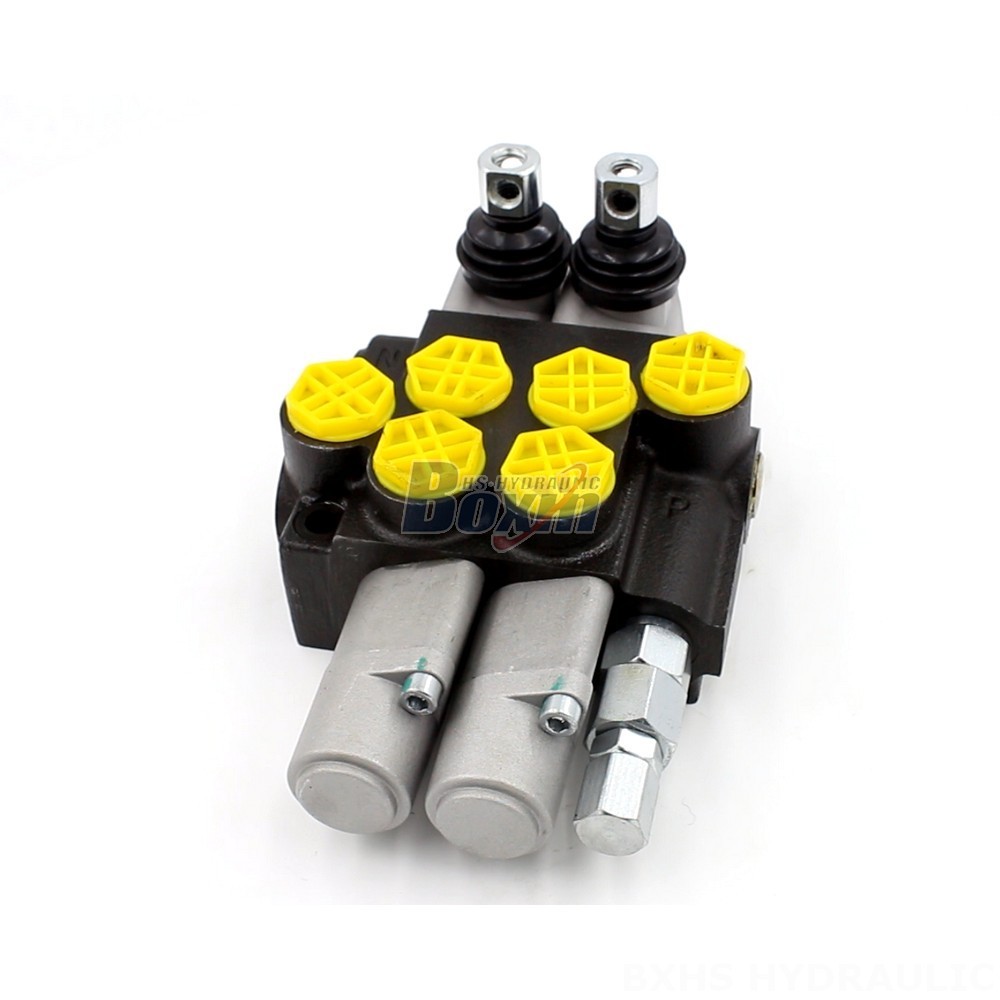 P40-G12-2OT Hydraulic Valve: Private Label, OEM & Custom Manufacturing main image