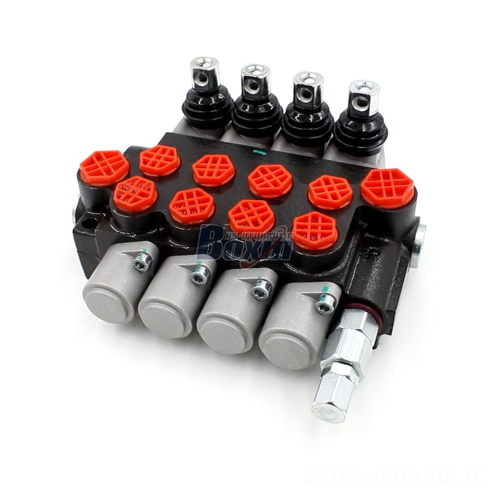 Straight from the Factory: Purchase P40-G12-G38-OT Valves Direct from the Manufacturer main image