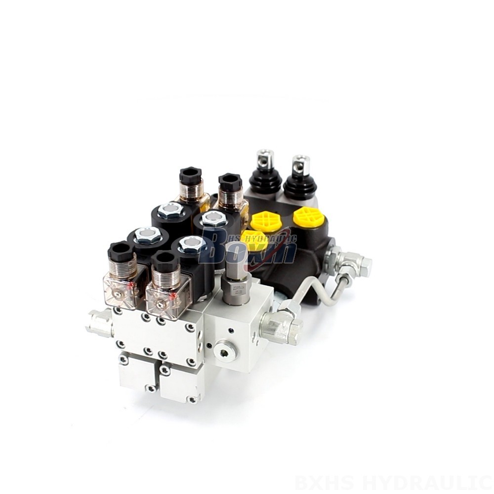 Manufacturer of P80 Monoblock Valves: Wholesale & Customization Available main image